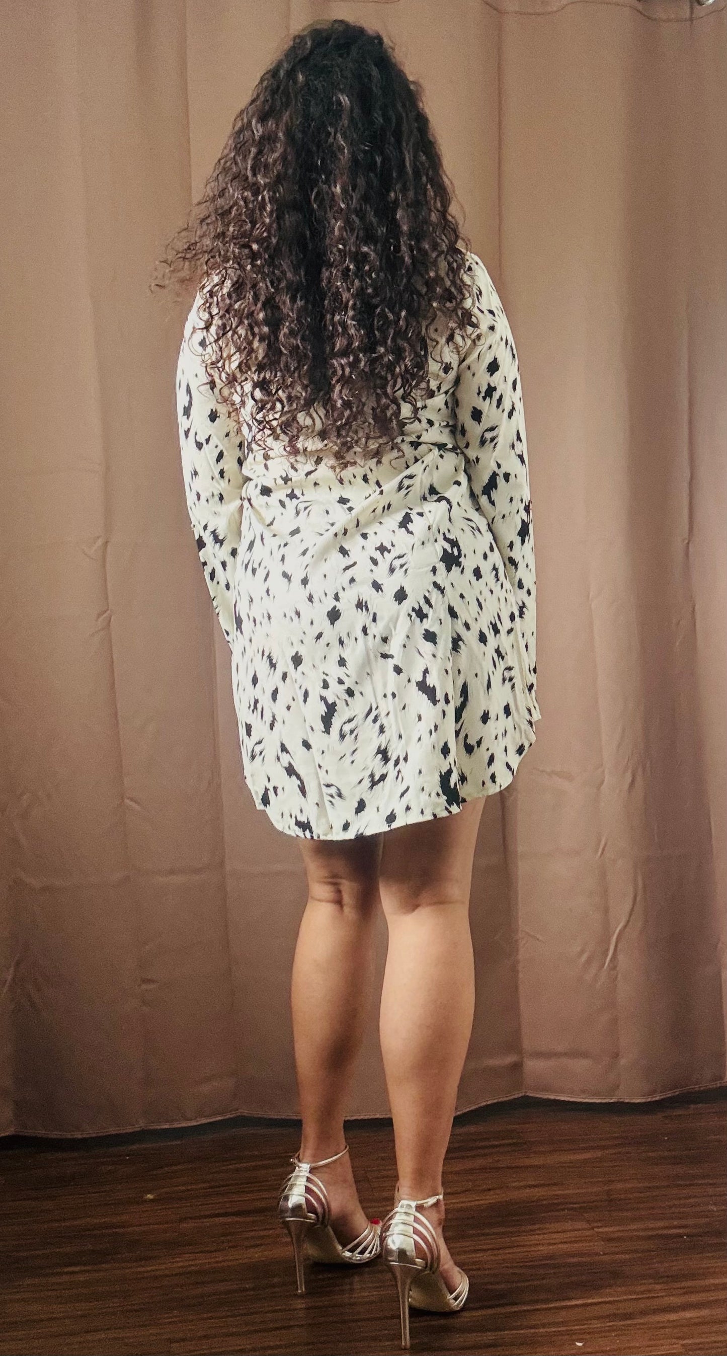 Leopard vneck long sleeve dress