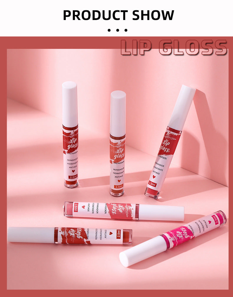 Matte liquid Lip Glossy